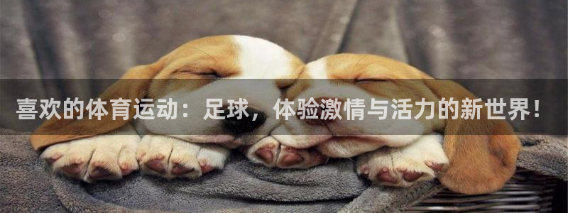 海南oety欧亿体育官网下载发展怎么样:喜欢的体育运动:足球