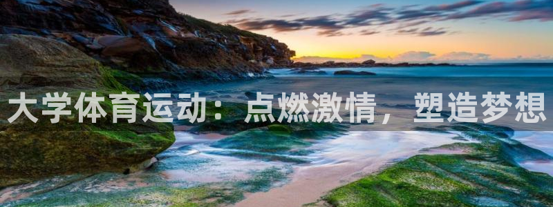 oety欧亿体育官网下载平台是正规平台吗知乎:大学体育运动: